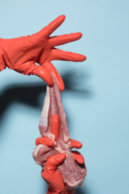 Zwei Hände in roten Plastikhandschuhen ziehen an einem frischen Stück Fleisch vor einem hellblauen Hintergrund
