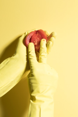 Zwei Hände in gelben Plastikhandschuhen recherchieren das Innere einer Tomate vor einem gelben Hintergrund